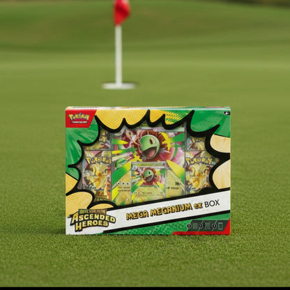 Ascended Heroes Mega Meganium ex Box