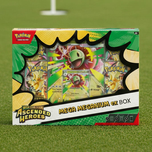 Ascended Heroes Mega Meganium ex Box
